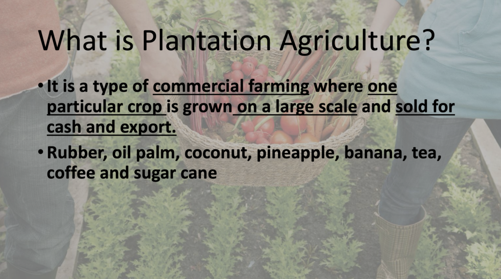 geography of food production